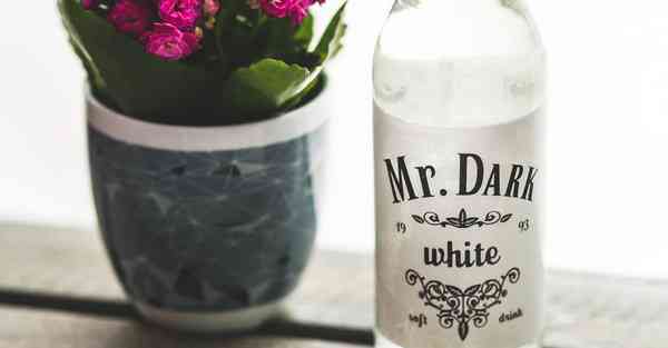 免费连外网的软件下载