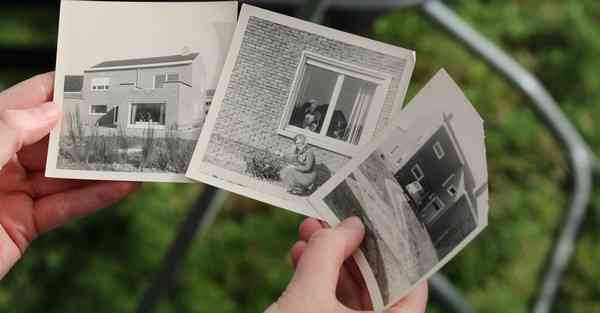 手机ssr没有网络连接